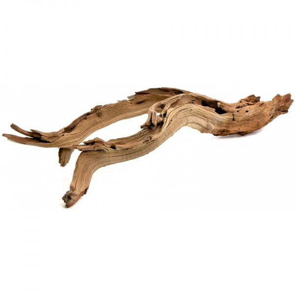 Decorative Natural California Driftwood Branch & Reviews AllModern